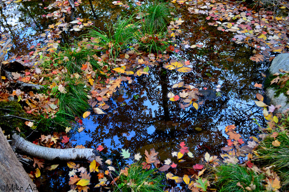 Autumnal Pool