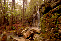 Rhododendron Falls