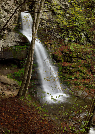 Buttermilk Falls in Spring