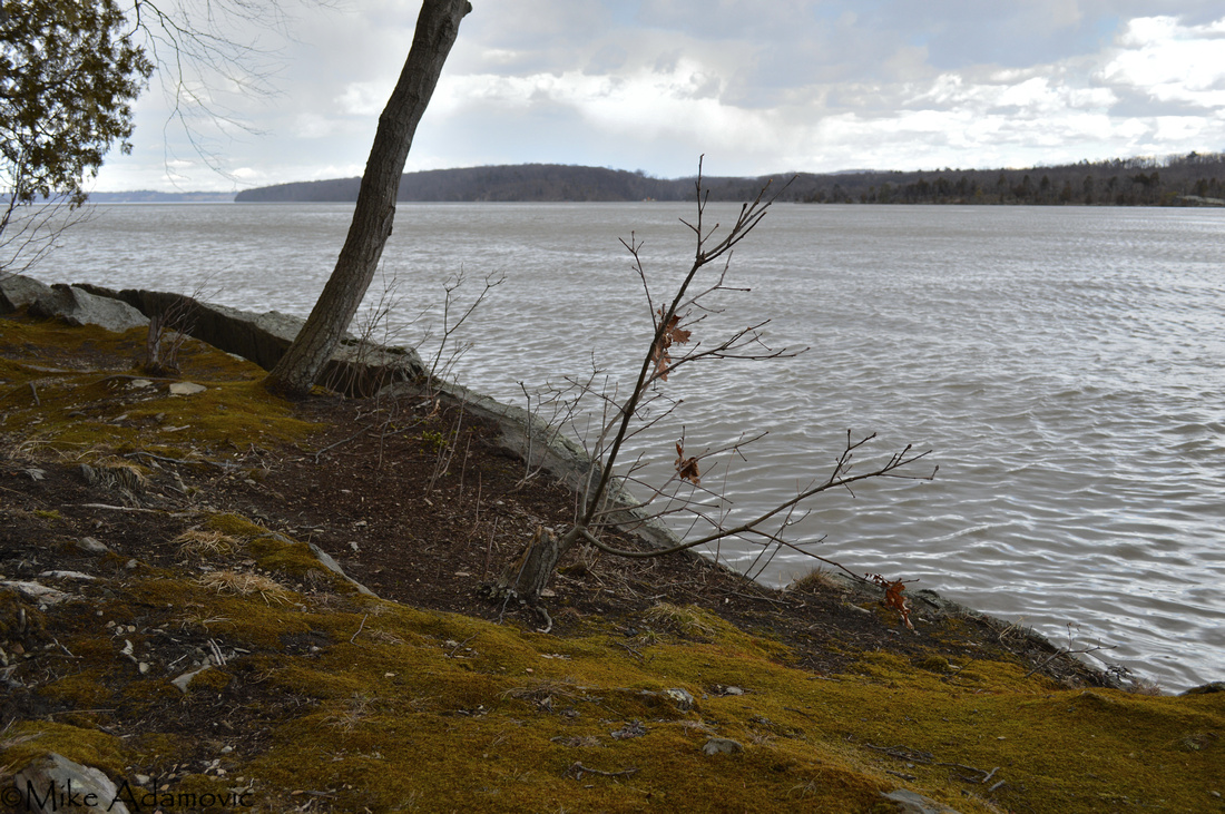 Early Spring along the Hudson